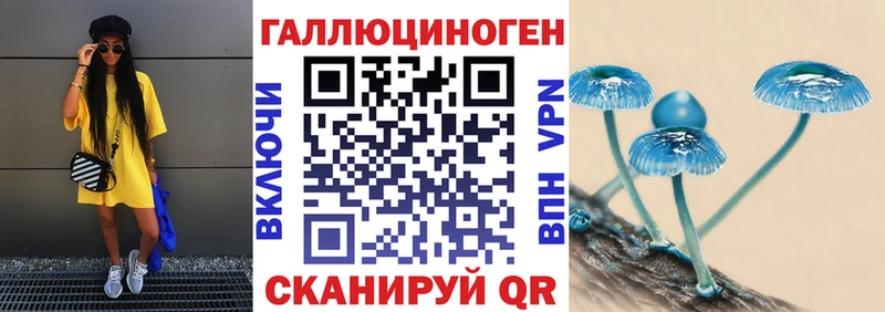 наркошоп  Гаврилов Посад  Псилоцибиновые грибы мицелий 